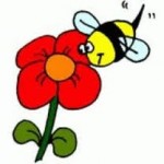 honey bee on flower