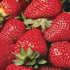 closeup of strawberries
