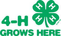 4-H logo