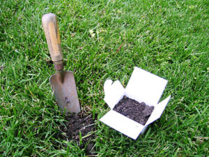 soil test kit