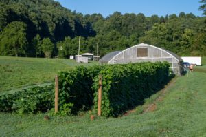 Cover photo for EmPOWERing Mountain Food Systems