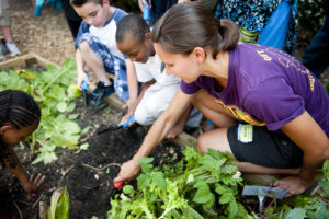 Cover photo for STEM Careers Start With a College Major in Soil