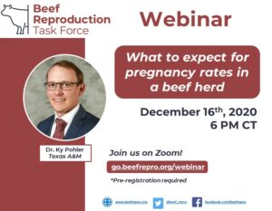Cover photo for Beef Cattle Reproduction Webinar