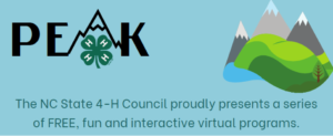 Cover photo for Have Fun With 4-H PEAK Virtual Program