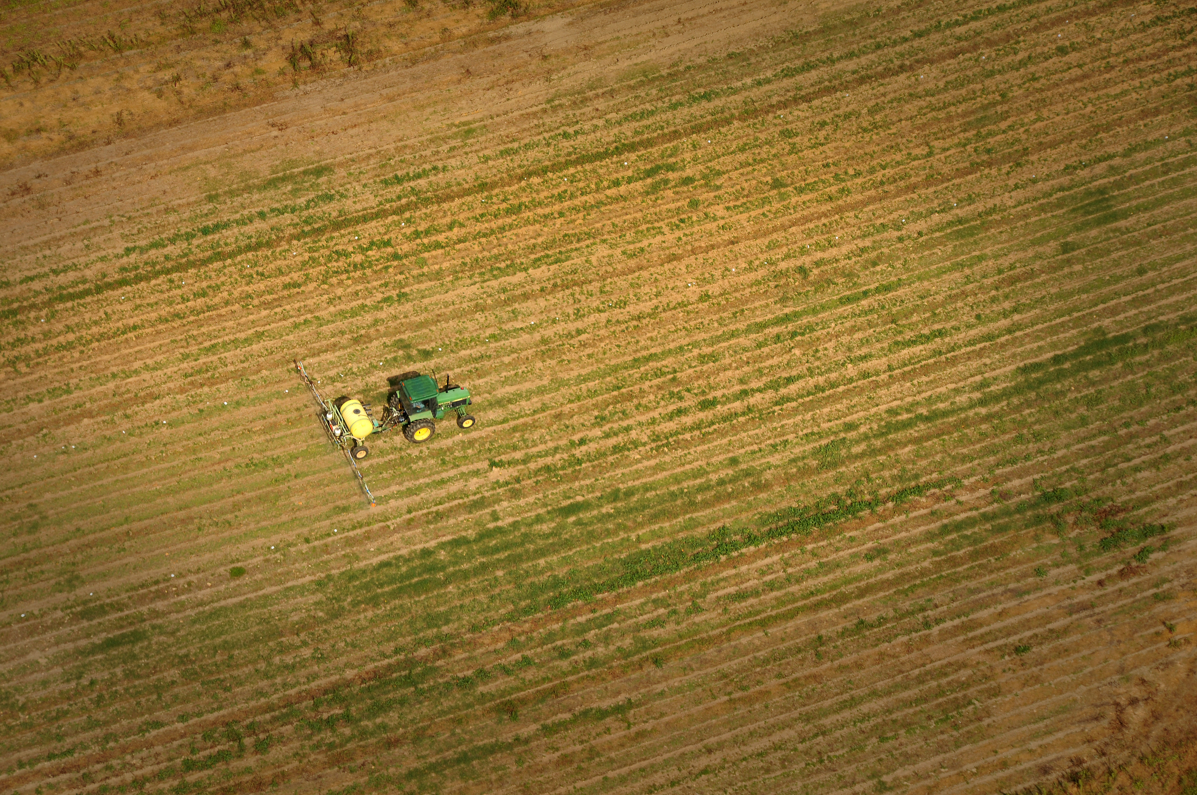 Tractor Spraying Fields