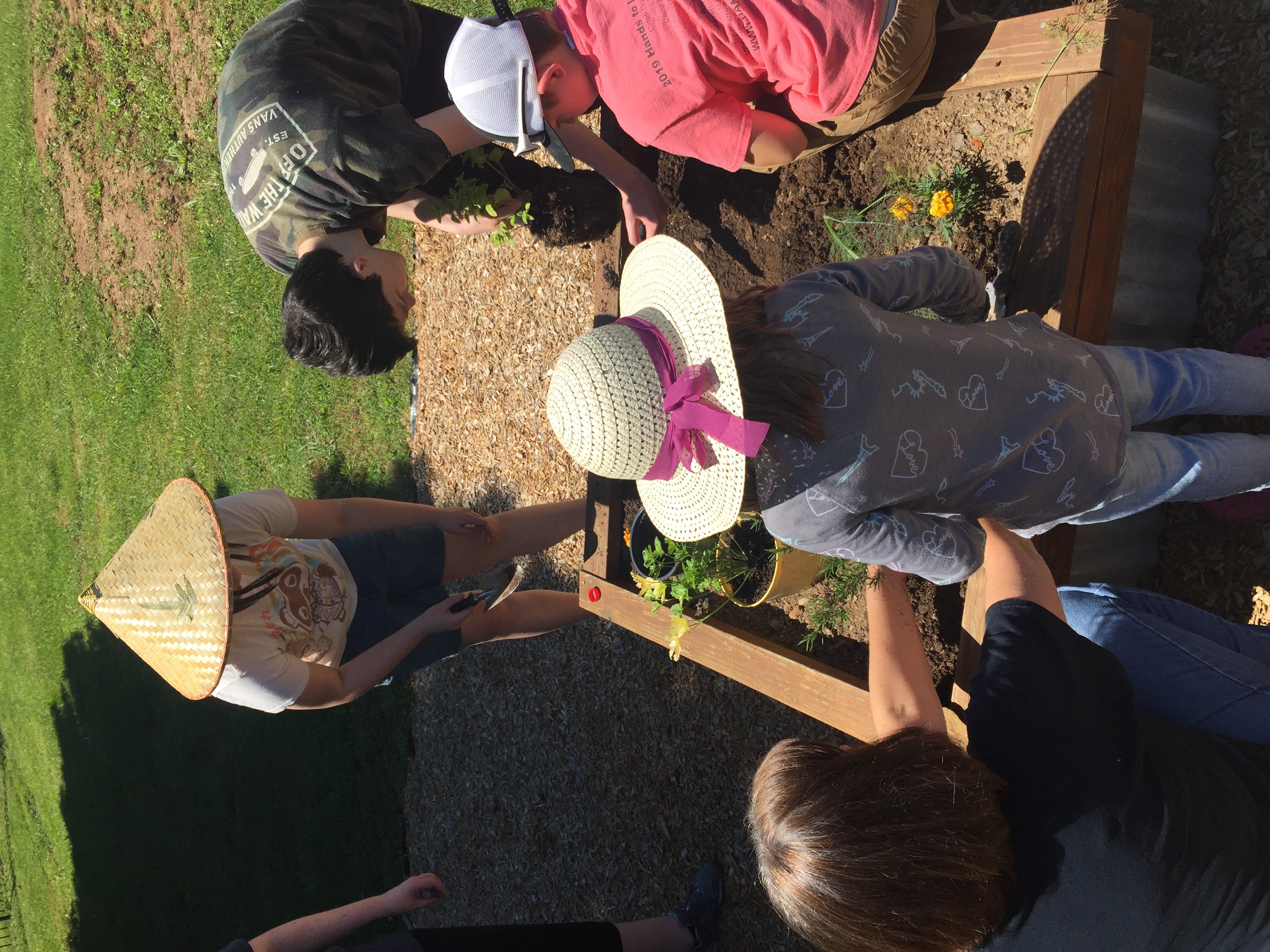 4 youth and an adult working in a small raised bed garden.