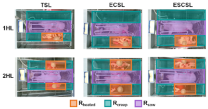 Farrowing crate region mapping