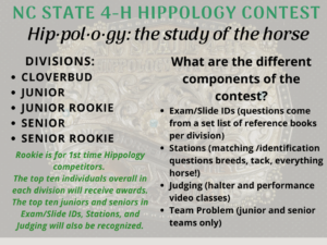 Cover photo for February 2022 NC 4-H Horse Program Newsletter