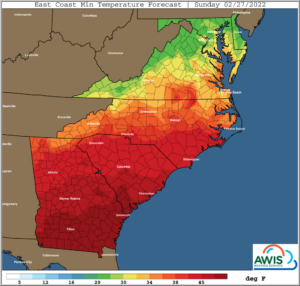 Cover photo for AWIS Weather Advisory: Not as Cold as Initially Predicted, but Stay Alert