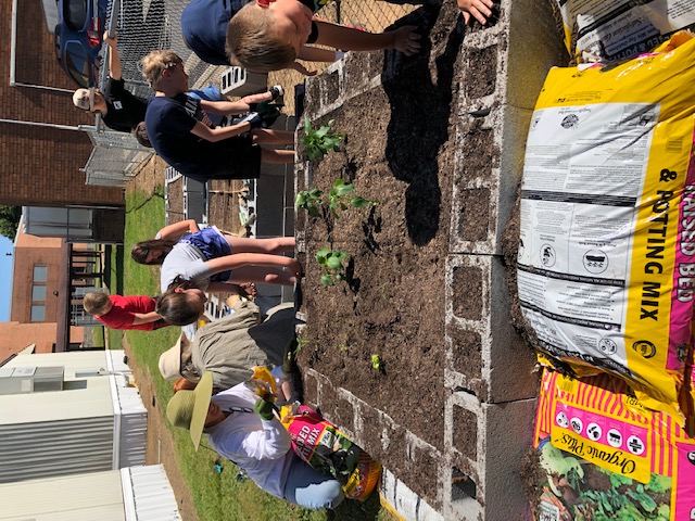 Two adults and 8 children working in 2 raised beds. 