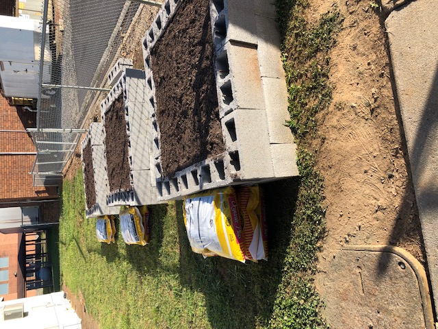 Three concrete raised beds filled with dirt