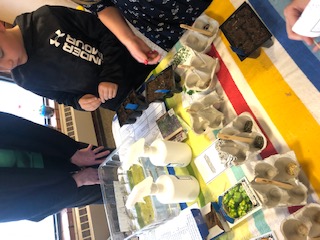 Students filling plastic plant cells with dirt and then adding seeds