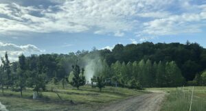 Airblast sprayer in orchard
