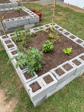 Raised vegetable garden