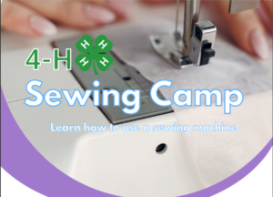 Cover photo for Sewing Camp - Clay County 4-H