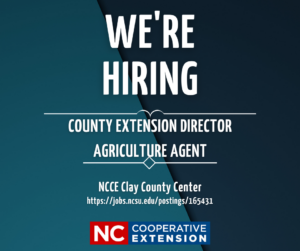 Cover photo for Position Open – County Extension Director / Ag Agent