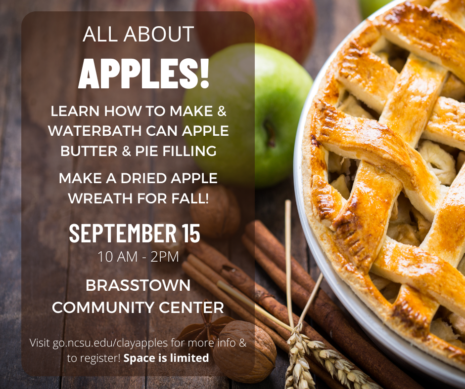 All about apples! Learn how to make & waterbath can apple butter & pie filling. Make a dried apple wreath for fall! September 15, 10 a.m. – 2 p.m. Brasstown Community Center.