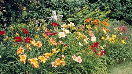 Day lilies of various colors bloom in a garden with a stone statue.