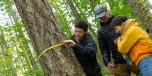 Cover photo for Forestry Management Workshop