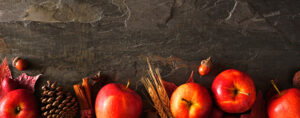 Cover photo for All About Apples - Canning & Craft Class