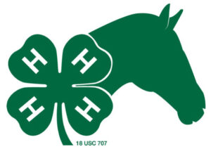 Cover photo for Trails & Rails 4-H Club Updates | August 2022