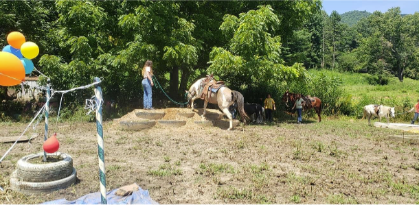 Women stand along side a strand of trees with their horses on leads.