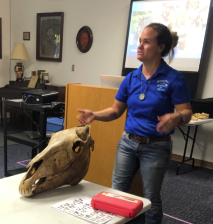A woman stands behind a large animal skull on a table. She is teaching to a room. 