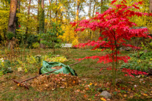 Cover photo for Preparing the Garden for Winter | Clay County Master Gardeners
