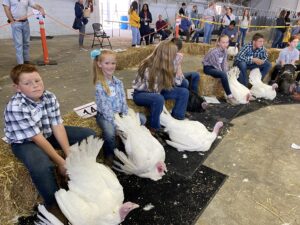 children showing turkeys