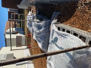 Three raised beds with white sheets covering them. 