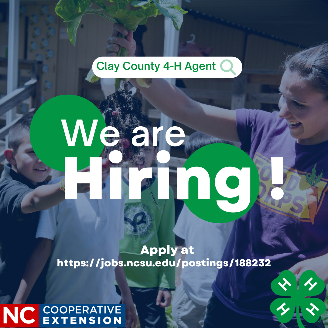 Clay County 4-H Agent, We are Hiring!