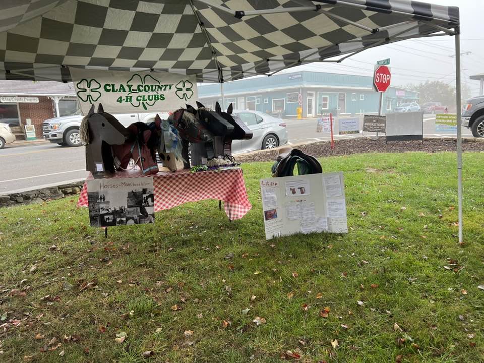 4-H Clubs Booth with horse crafts and saddle