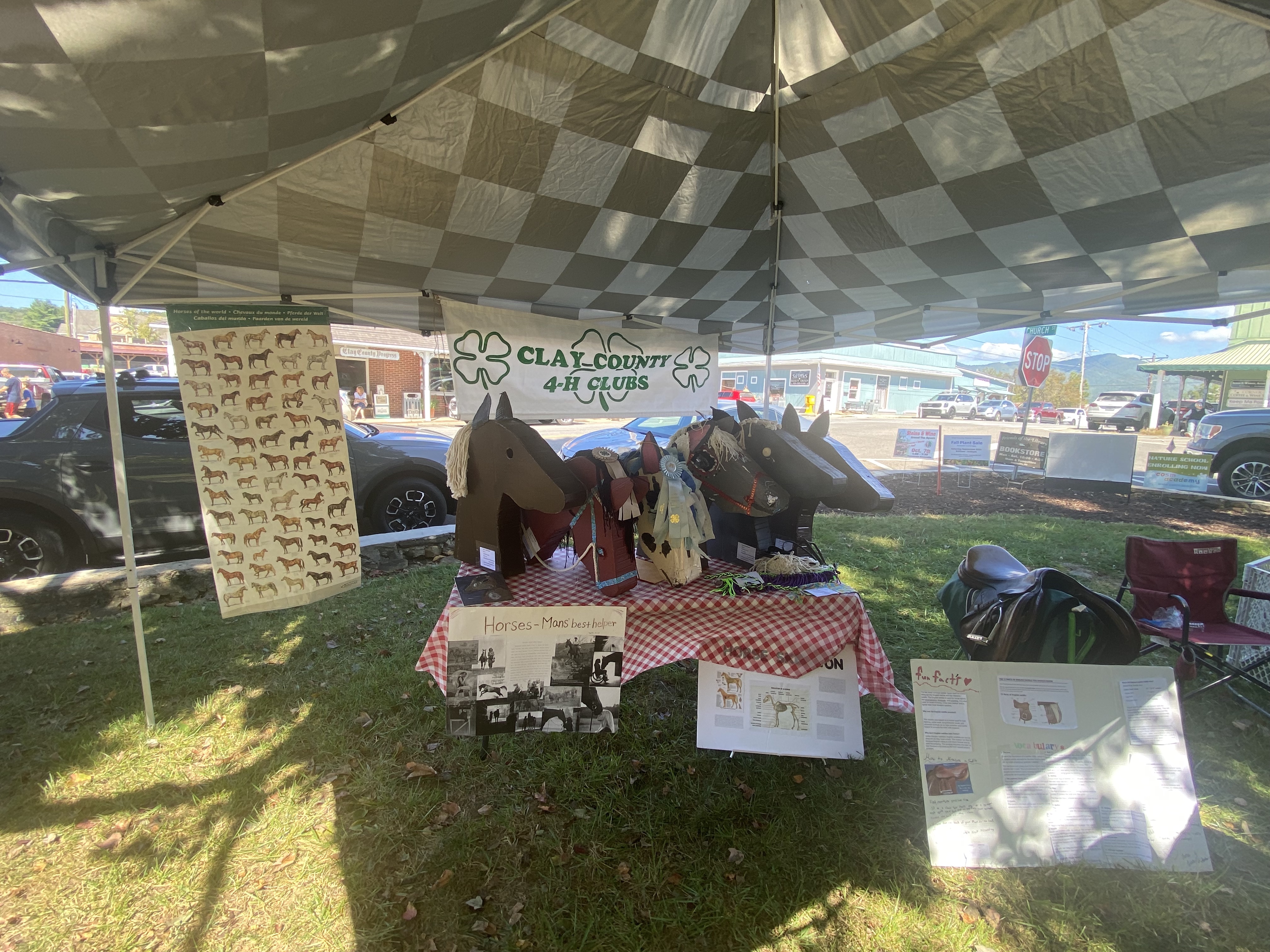 4-H Clubs Booth with horse club info