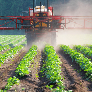 Cover photo for Pesticide Collection Day