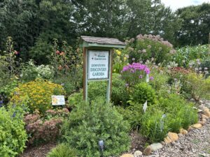 Cover photo for Downtown Discovery Garden | Extension Master Gardeners of Clay County