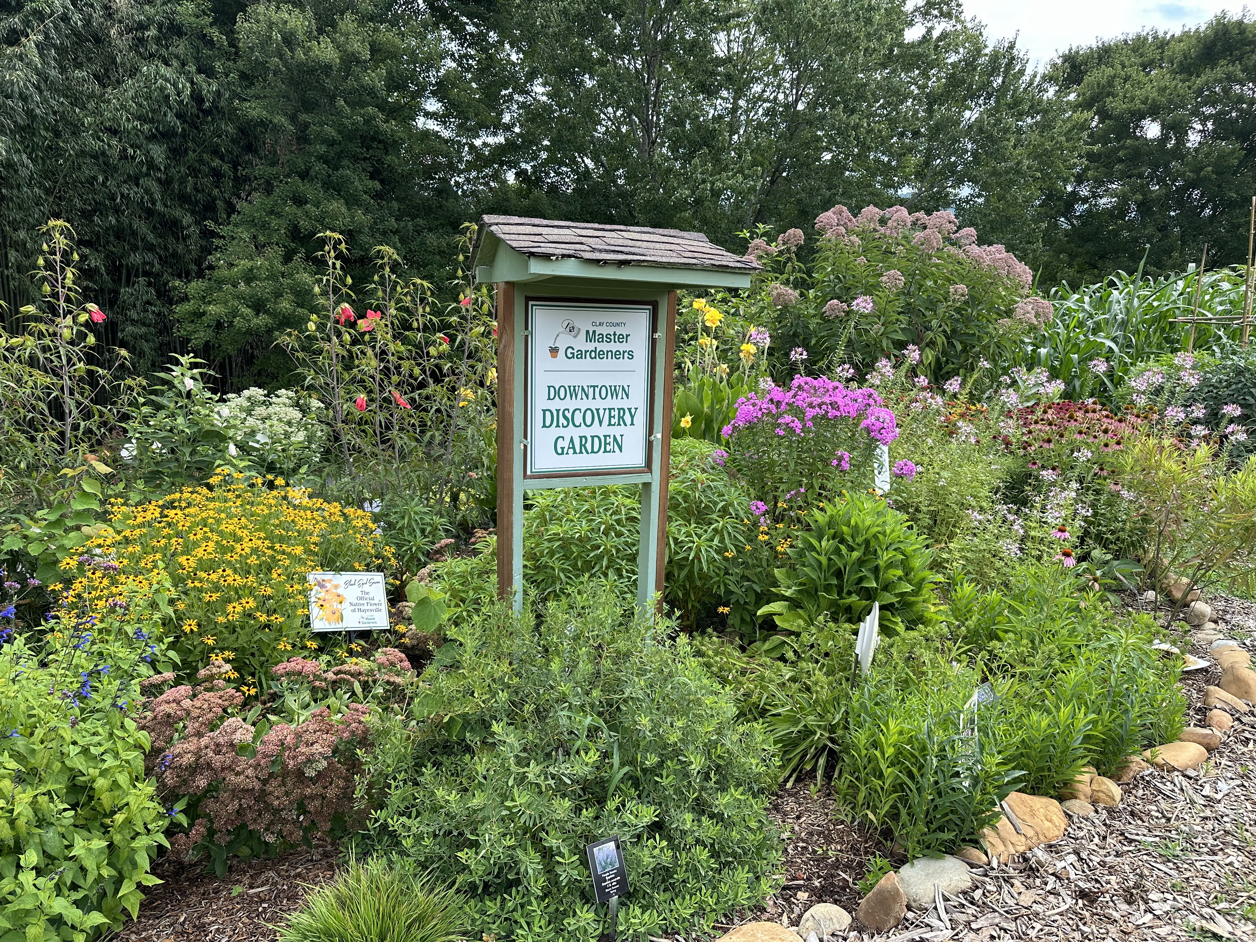 Downtown discovery garden full of flowers in full bloom.