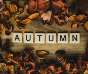 Cover photo for Autumn