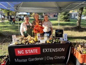 Cover photo for 2025 Clay County Master Gardener Intern Class