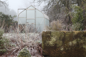 Cover photo for Tidying Up Your Garden in Winter