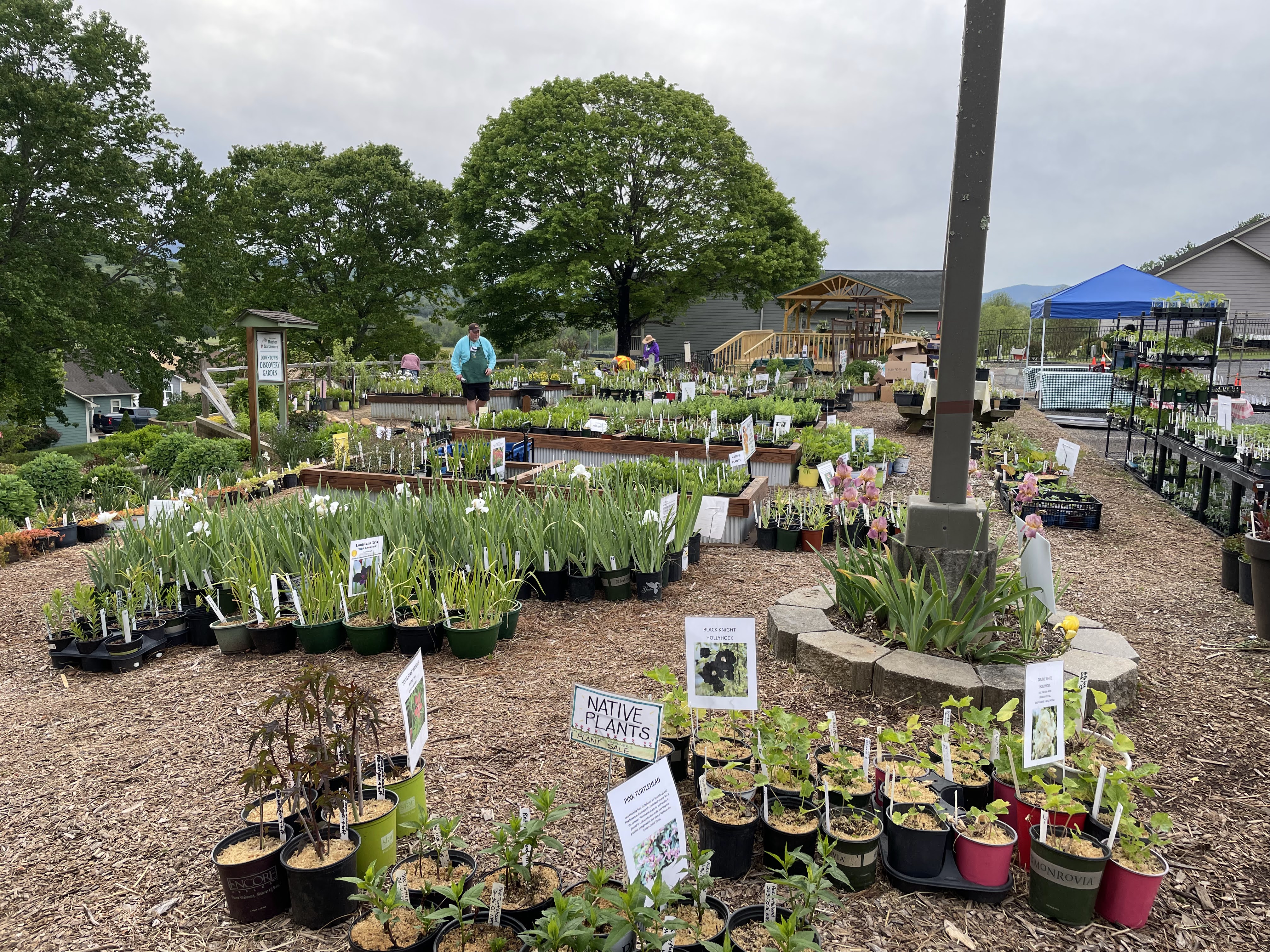 A closer view of the plant sale garden area with labeled sections like "Native Plants" and "Black Night." The plants are organized in neat rows with clear signage, and the natural setting includes trees, garden beds, and woodchip-covered paths.