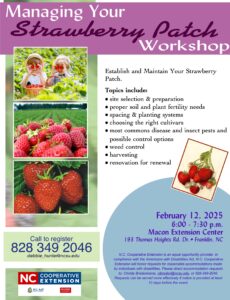 Strawberry Workshop Flyer