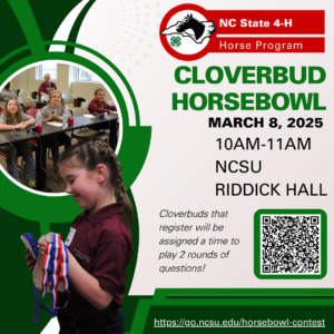 Cover photo for February 2025 NC 4-H Horse Program Newsletter