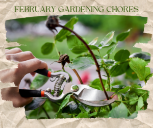 Feb Gardening Chores