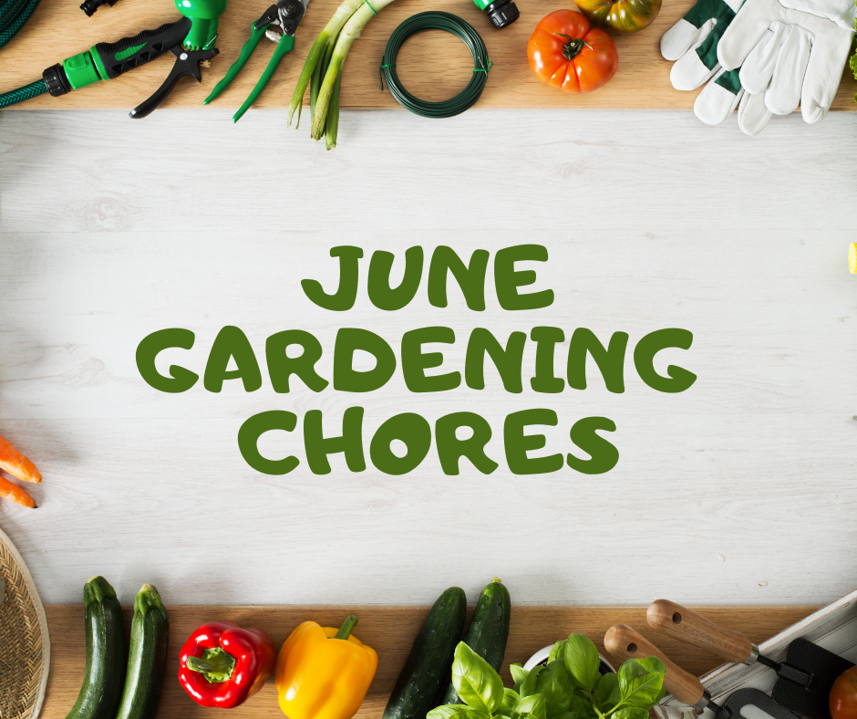JUNE CHORES