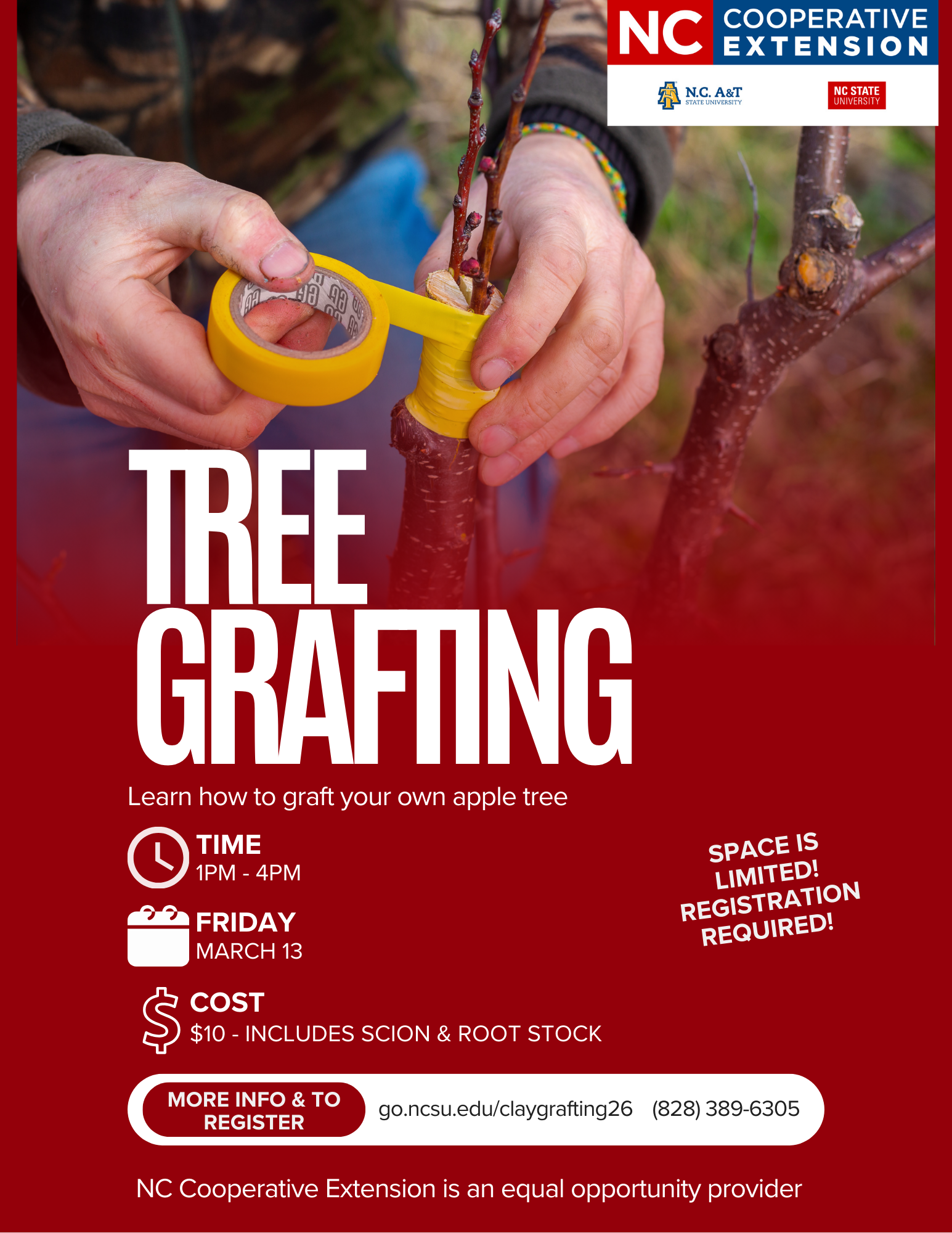 Tree Grafting
